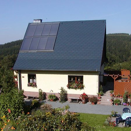 Ferienwohnung Petzold Altenberg  Εξωτερικό φωτογραφία