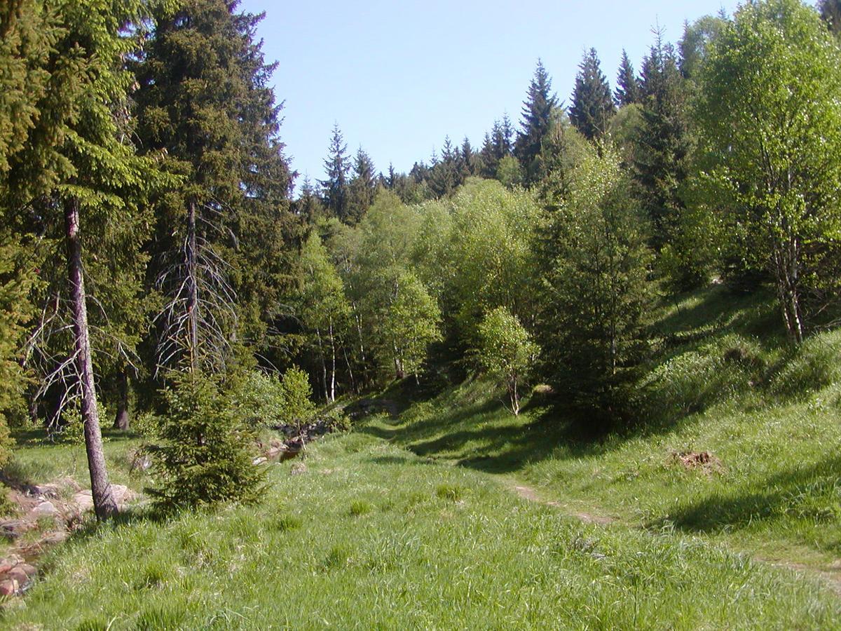 Ferienwohnung Petzold Altenberg  Εξωτερικό φωτογραφία