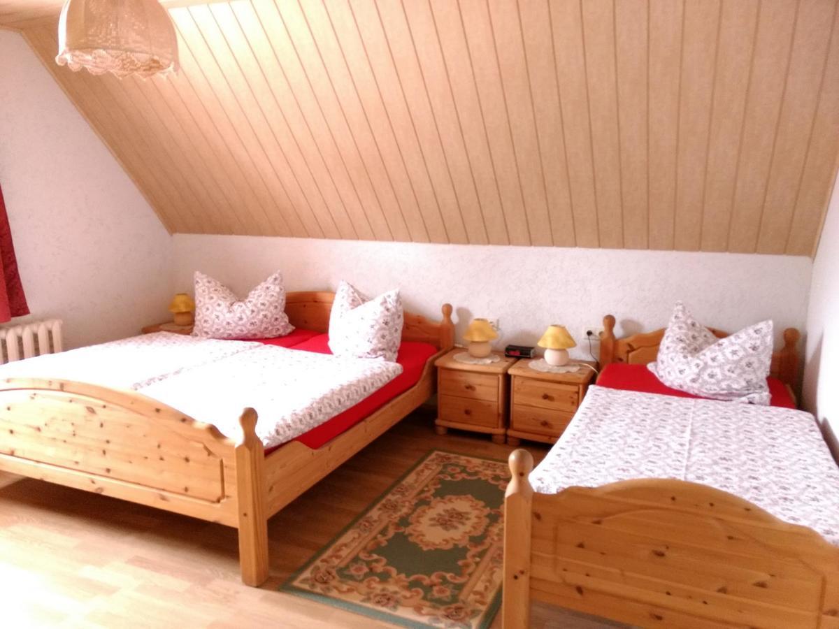 Ferienwohnung Petzold Altenberg  Εξωτερικό φωτογραφία